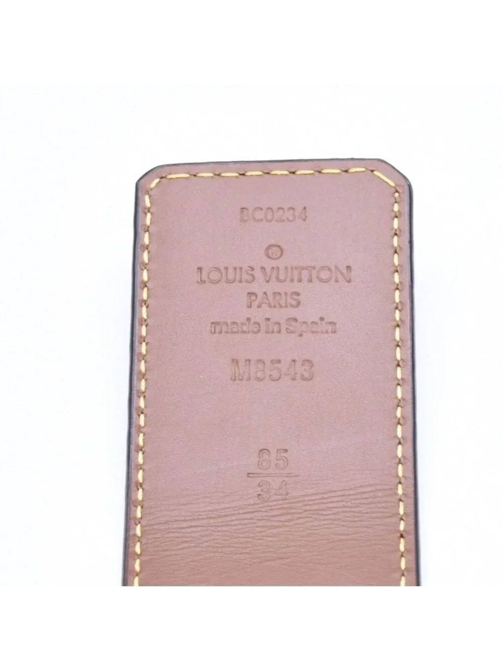 Louis Vuitton brand louis